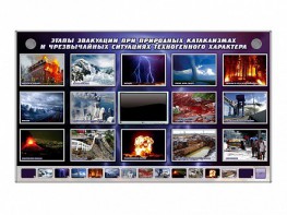 Многофункциональный интерактивный стенд-тренажер "Этапы эвакуации при природных катаклизмах и чрезвычайных ситуациях техногенного характера" - fgospostavki.ru - Семёнов