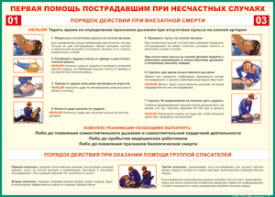 Таблица "Порядок действий при внезапной смерти" (100х140 сантиметров, винил) - fgospostavki.ru - Семёнов