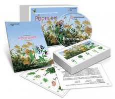 Комбинированное наглядное пособие «Растения» - fgospostavki.ru - Семёнов