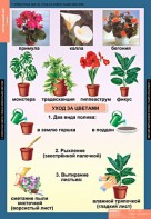 Комплект таблиц. Окружающий мир 1 класс. - fgospostavki.ru - Семёнов