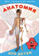 DVD "Анатомия для детей" - fgospostavki.ru - Семёнов