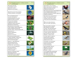 Комплект карточек (10) "Обучающий калейдоскоп. Природа" - fgospostavki.ru - Семёнов