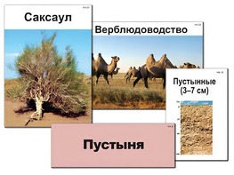 Модель-аппликация "Природные зоны России" (ламинированная) - fgospostavki.ru - Семёнов