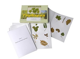 Гербарий "Морфология растений" (6 тем, 30 видов) - fgospostavki.ru - Семёнов