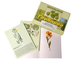 Гербарий "Систематика растений. Семейство Пасленовые. Крестоцветные. Сложноцветные" (раздаточный) - fgospostavki.ru - Семёнов