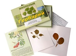 Гербарий "Систематика растений. Семейство Розоцветные" (раздаточный) - fgospostavki.ru - Семёнов