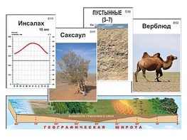 Модель-аппликация "Природные зоны" - fgospostavki.ru - Семёнов