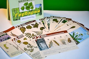 Гербарий к курсу основ общей биологии - fgospostavki.ru - Семёнов