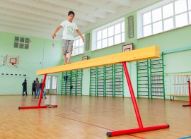 Бревно гимнастическое напольное постоянной высоты (700 мм) (5 м)	 - fgospostavki.ru - Семёнов