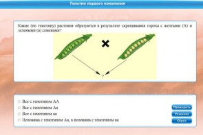 Интерактивные курсы. Биология 11 класс. Базовый. - fgospostavki.ru - Семёнов
