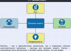 Интерактивные курсы. Биология 5 класс. Базовый - fgospostavki.ru - Семёнов