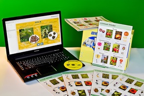 Коллекция натурально-интерактивная "Семена и плоды" - fgospostavki.ru - Семёнов