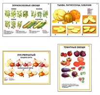 Плакаты ПРОФТЕХ "Ассортимент овощных культур" (12 пл, винил, 70х100) - fgospostavki.ru - Семёнов