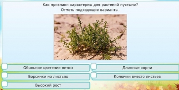 Интерактивные курсы. Окружающий мир 3 класс . Базовый. - fgospostavki.ru - Семёнов