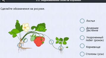 Интерактивные курсы. Биология 7 класс. Расширенный. - fgospostavki.ru - Семёнов