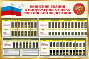 Стенд "Воинские звания в вооруженных силах РФ" - fgospostavki.ru - Семёнов