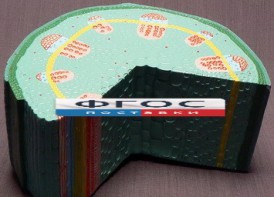 Модель "Стебель растения" - fgospostavki.ru - Семёнов