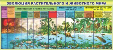 Стенд "Эволюция растительного и животного мира" - fgospostavki.ru - Семёнов