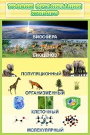 Стенд "Уровни организации живого" - fgospostavki.ru - Семёнов